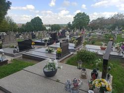 Cintorín Golianovo