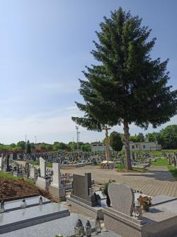 Cintorín Lužianky