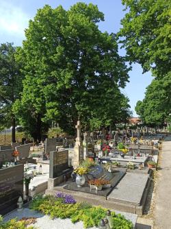 Cintorín Nitra-Chrenová
