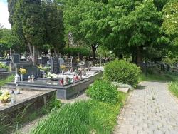 Cintorín Nitra - Horné Krškany