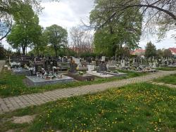 Cintorín Nitra - Kynek