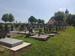 Cintorín Šalgočka