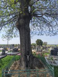 Cintorín Siladice