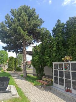 Cintorín Dolný Vinodol
